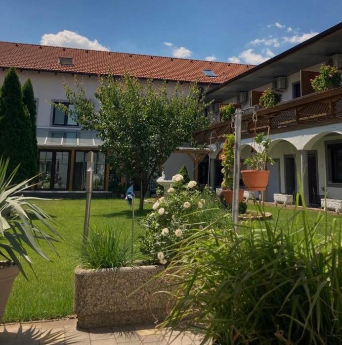 Gaestehaus Und Weinbau Zur Wiederkehr Strudler Podersdorf am See Exteriör bild